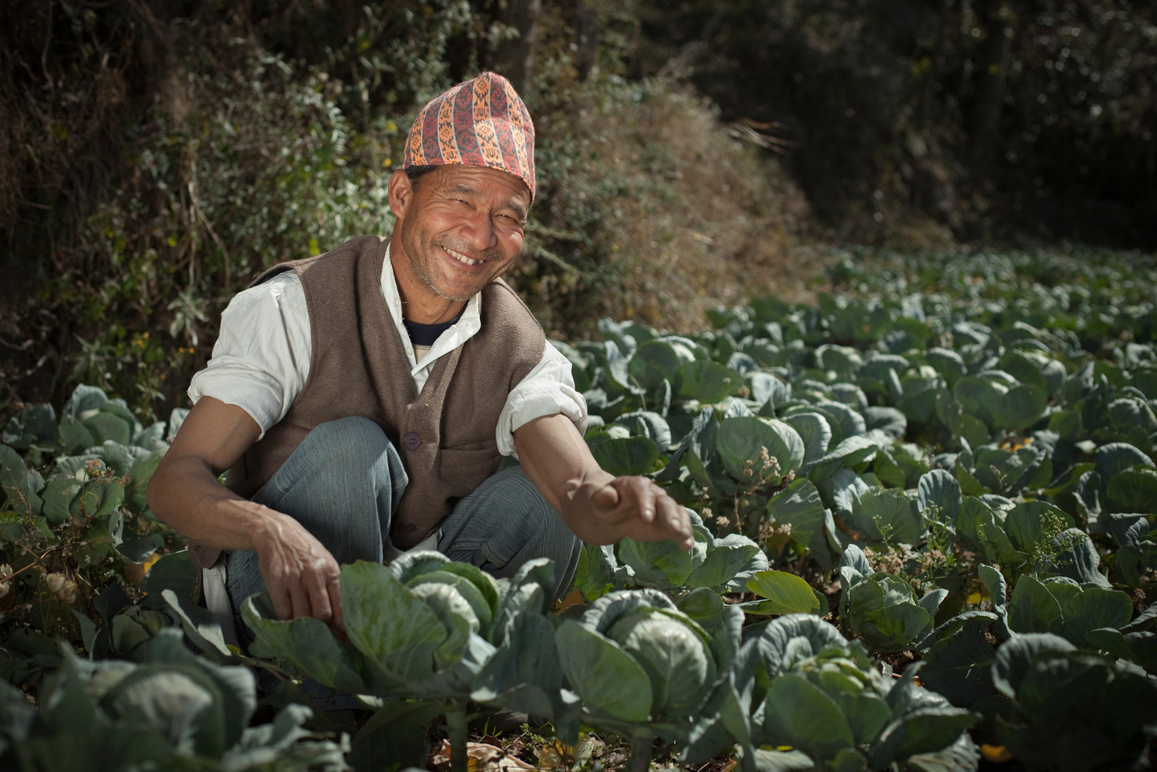 People of Nepal: A happy farmer in cabbage farm.