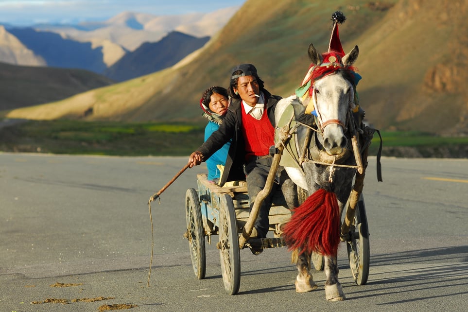 People Riding a Horse-drawn Carriage